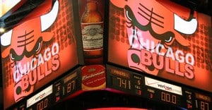 Bulls