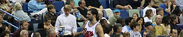 Hornets2