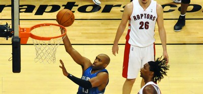Raptors2