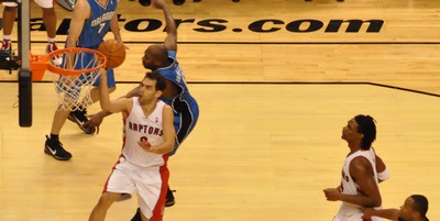 Raptors3