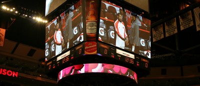Bulls