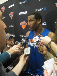 Stoudemire micros