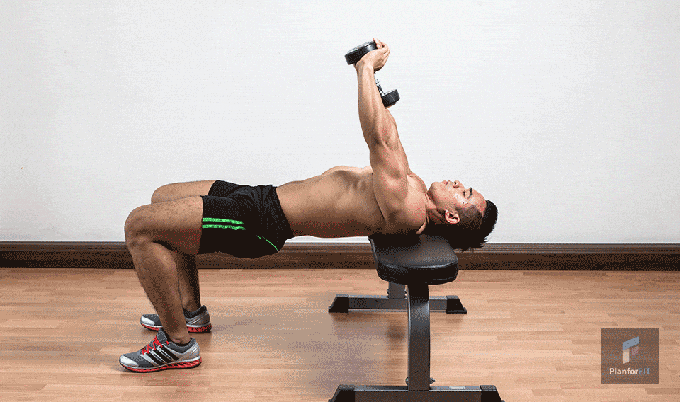Exercice pull-over avec haltère
